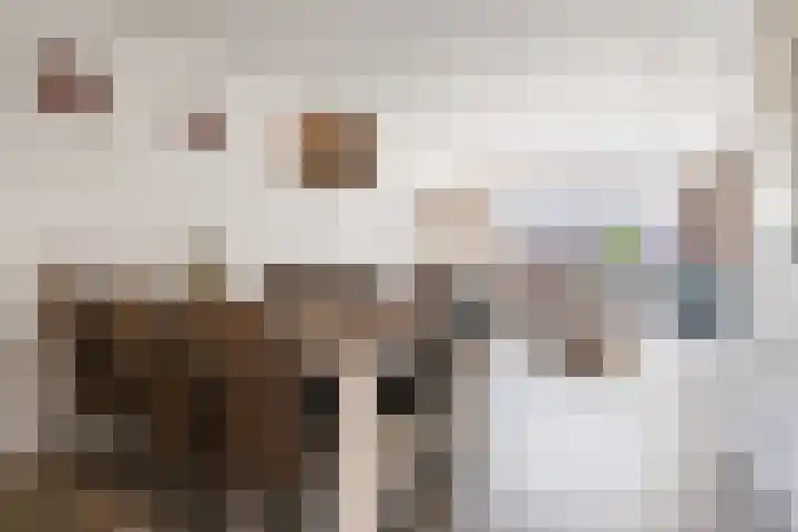 Markthof 10 Etten-Leur thumbnail 16
