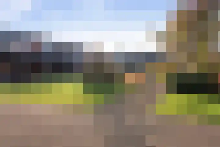 Markthof 10 Etten-Leur thumbnail 26
