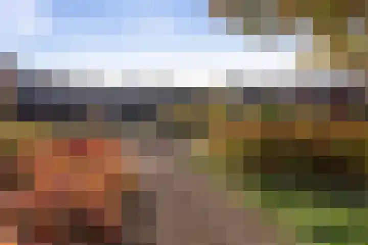Markthof 10 Etten-Leur thumbnail 27