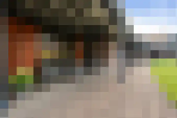 Markthof 10 Etten-Leur thumbnail 6