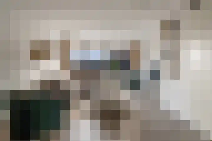 Markthof 10 Etten-Leur thumbnail 8