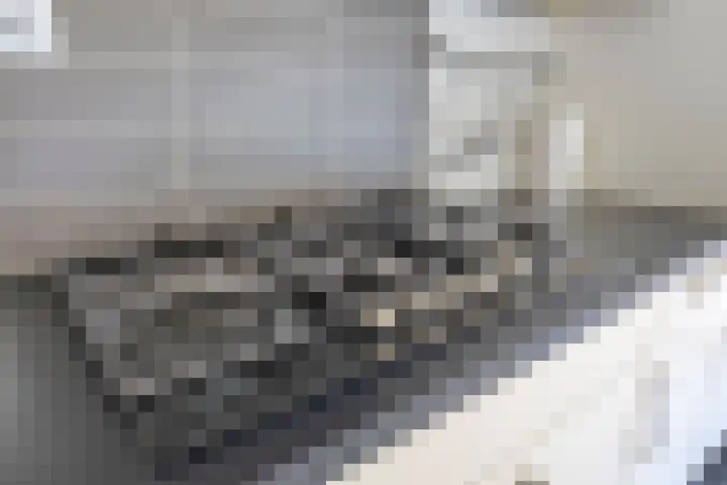 Markthof 12 Etten-Leur thumbnail 19