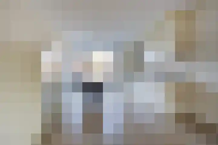 Markthof 32 Etten-Leur thumbnail 14