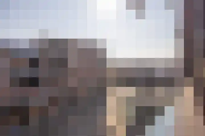 Markthof 32 Etten-Leur thumbnail 30
