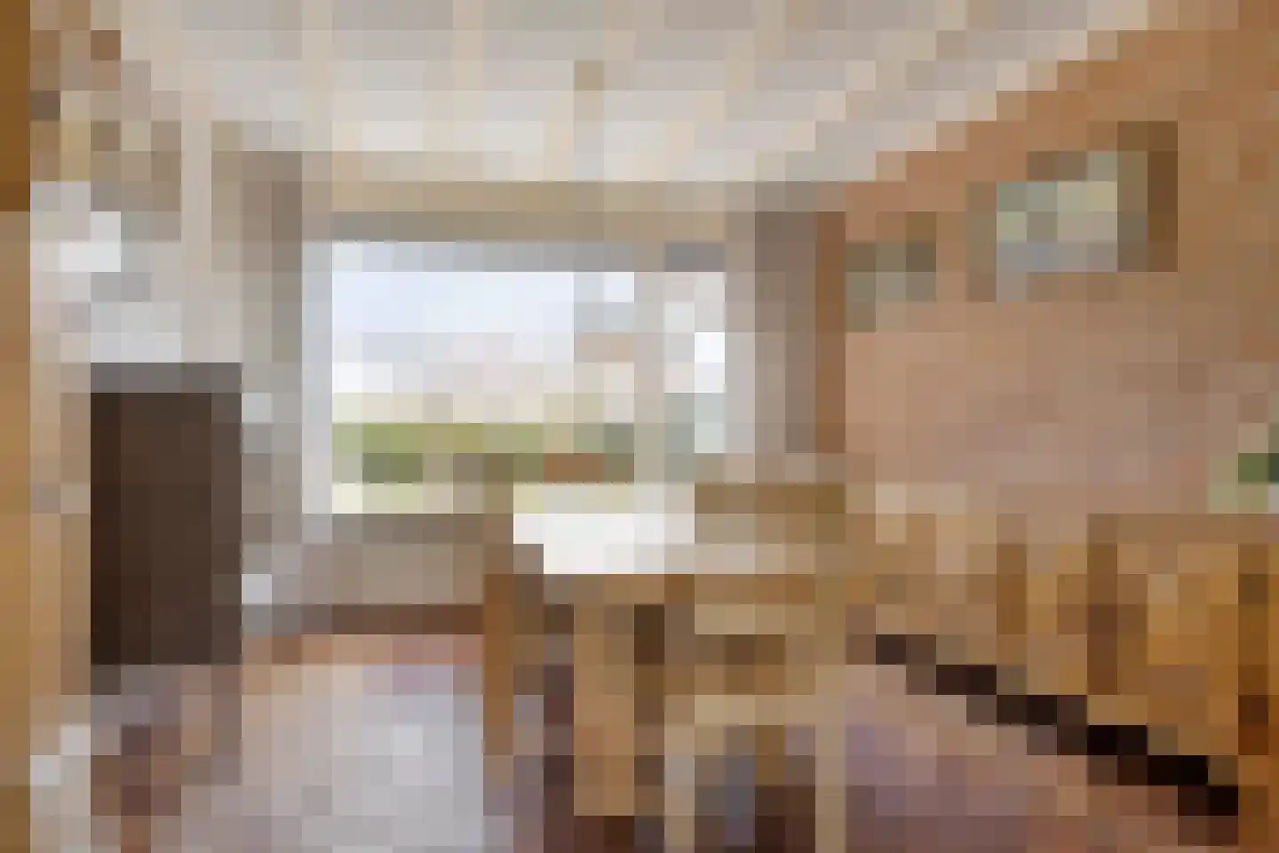 Marktje 17 Woensdrecht thumbnail 13