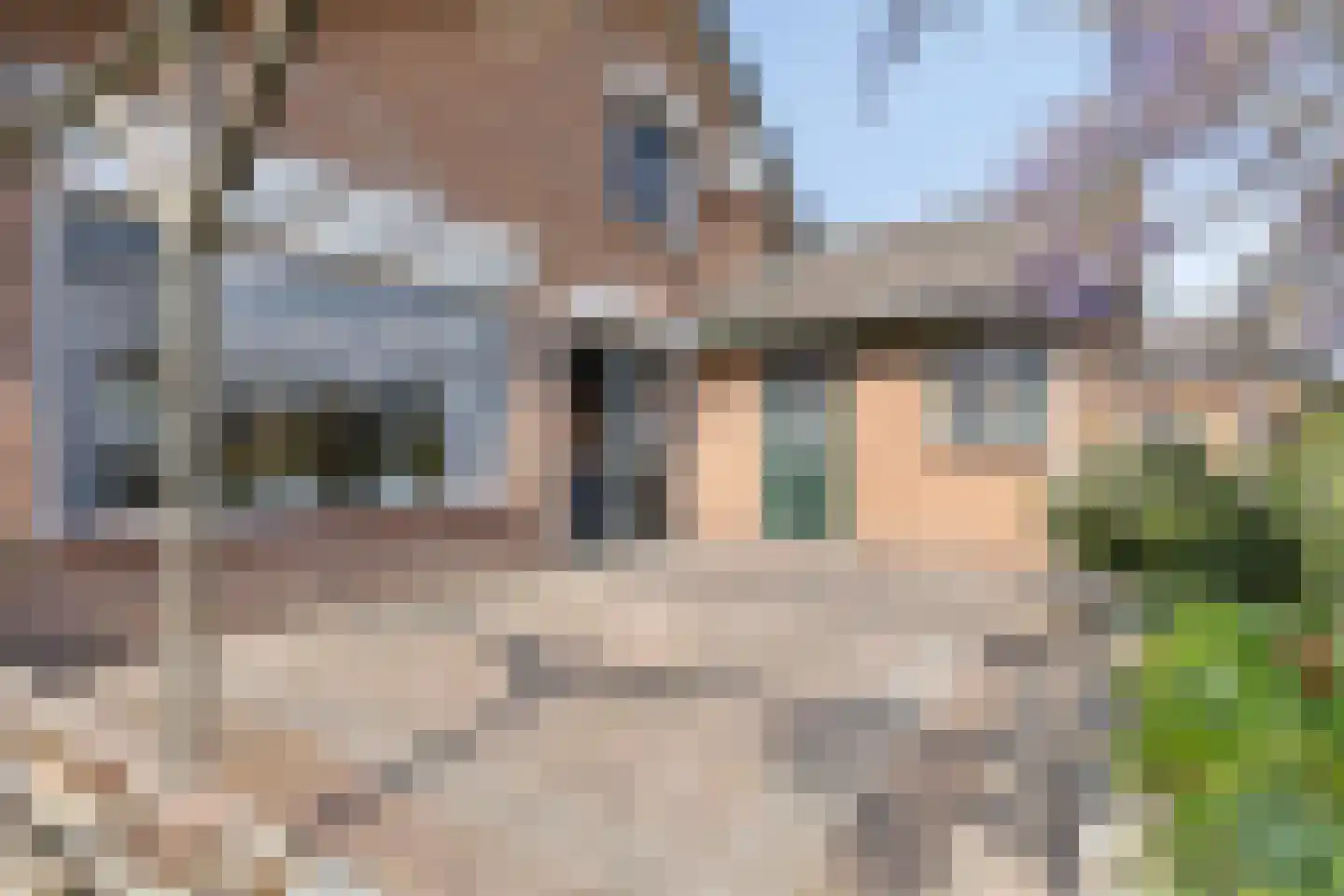 Marktje 17 Woensdrecht thumbnail 28