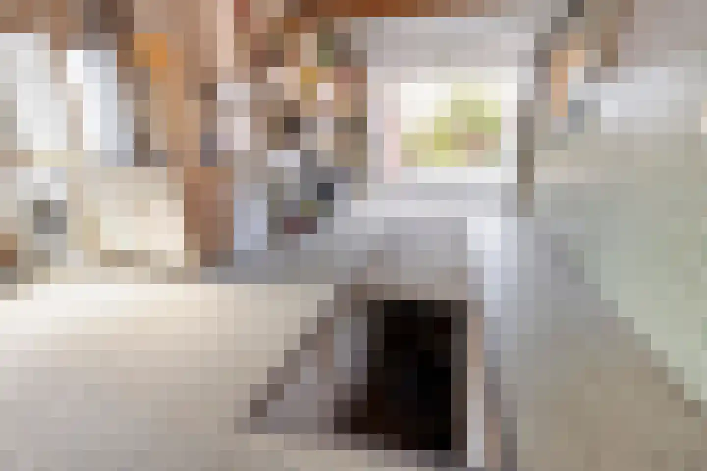 Marktje 17 Woensdrecht thumbnail 29