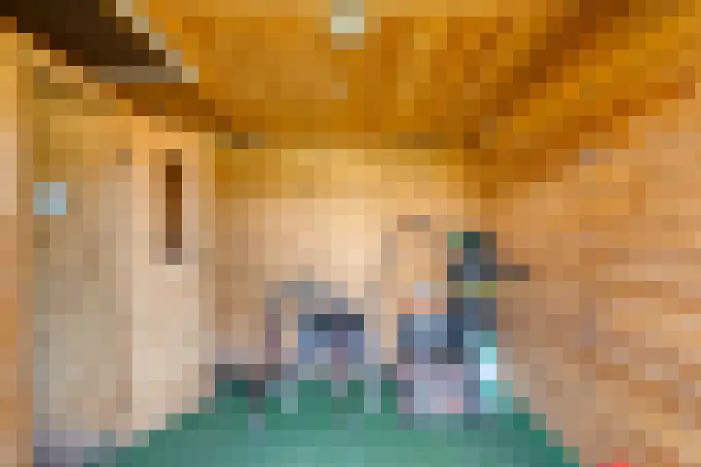 Marktje 17 Woensdrecht thumbnail 31