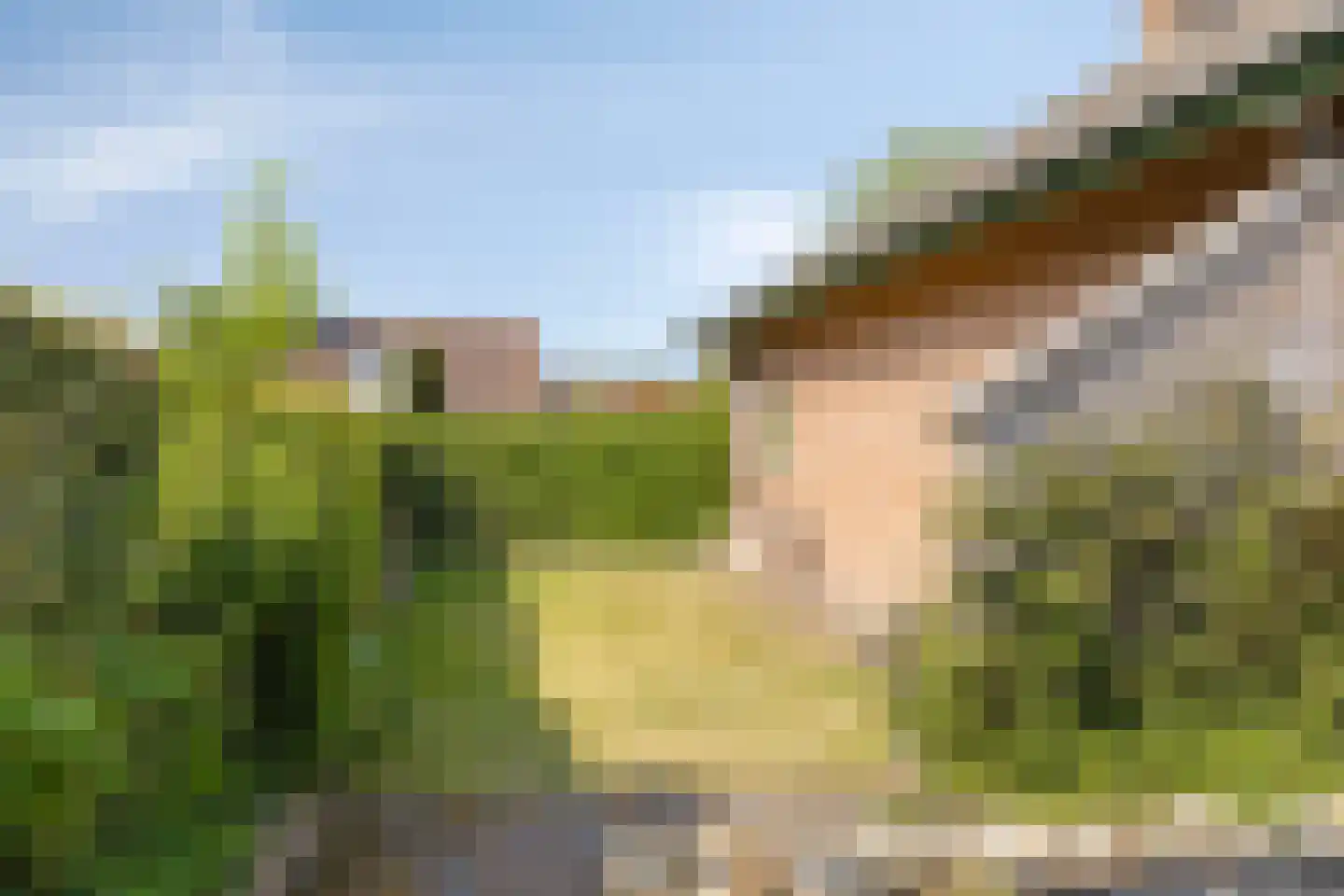 Marktje 17 Woensdrecht thumbnail 7