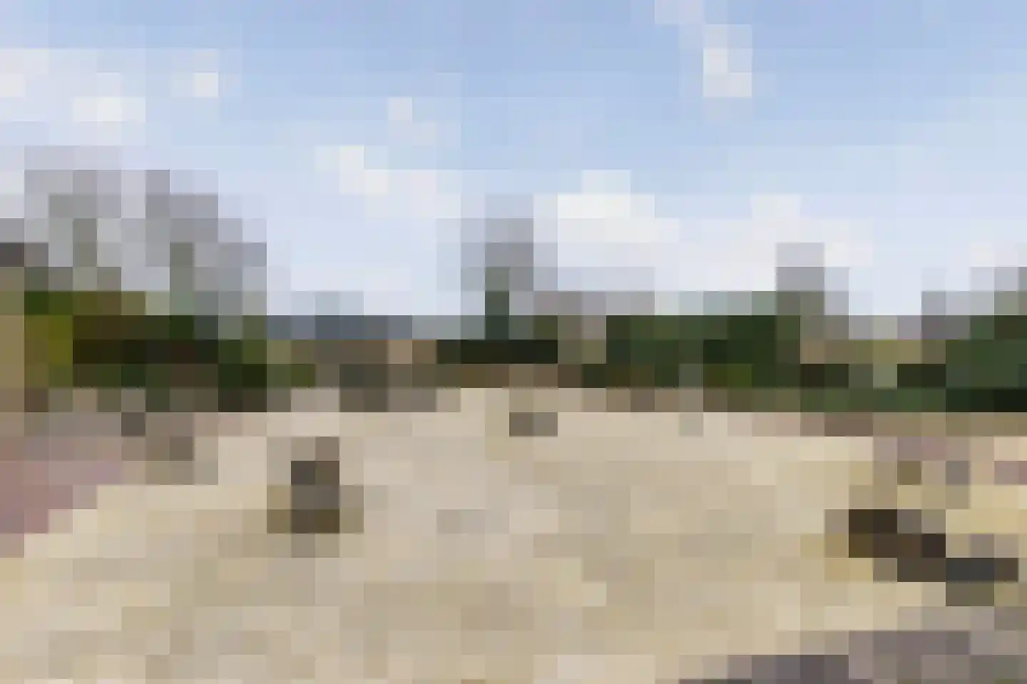 Marktje 27 Woensdrecht thumbnail 32