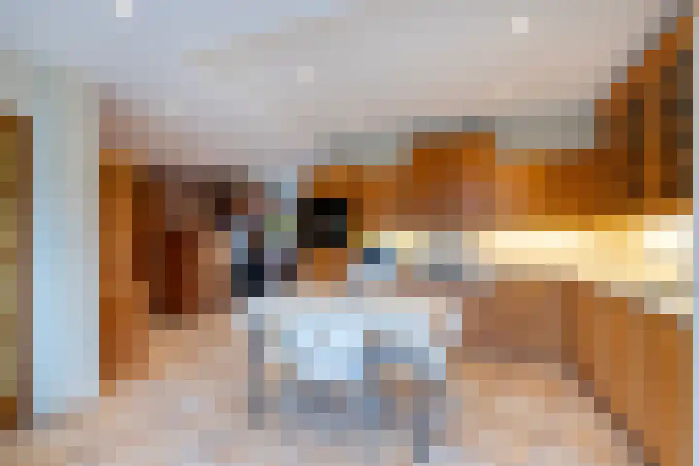 Marktje 27 Woensdrecht thumbnail 9