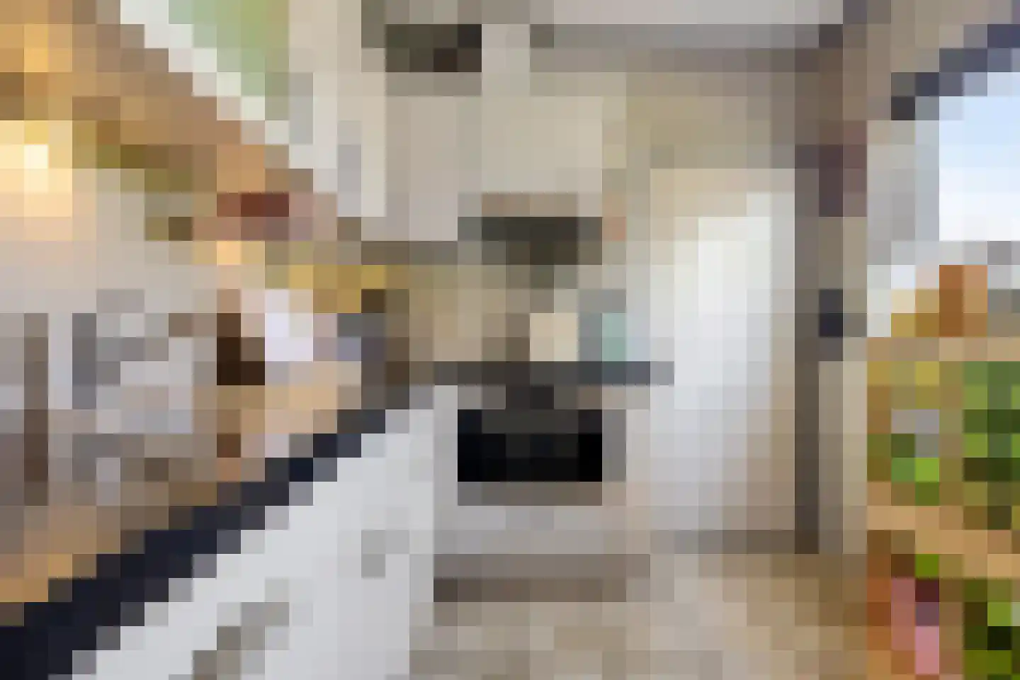 Marktkade 19 Musselkanaal thumbnail 10