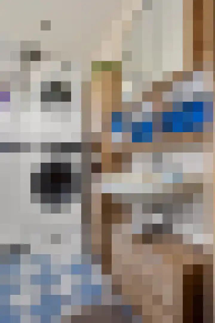Marktkade 19 Musselkanaal thumbnail 21