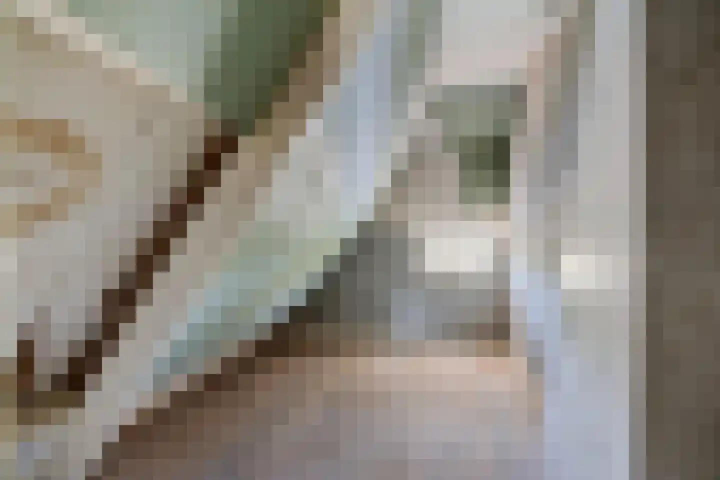 Marktkade 19 Musselkanaal thumbnail 29