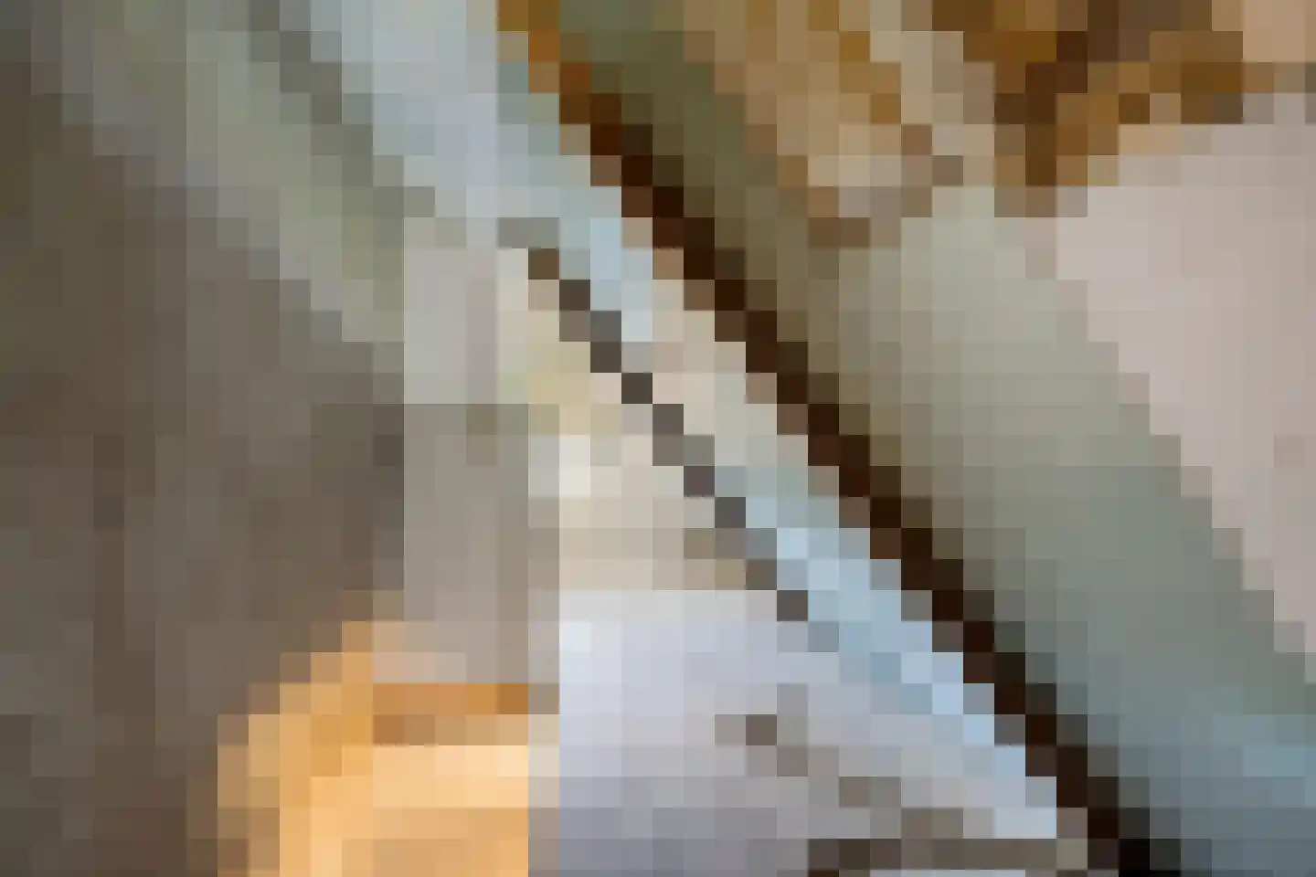 Marktkade 19 Musselkanaal thumbnail 30