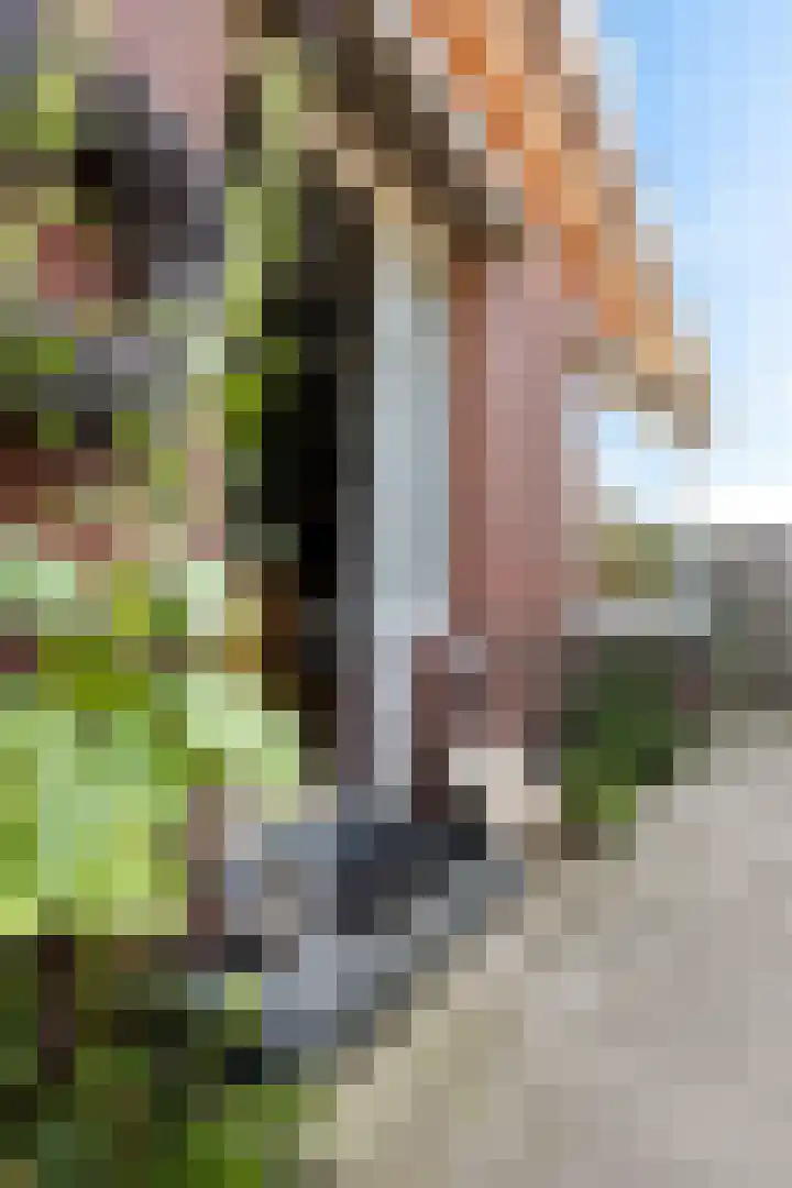 Marktkade 19 Musselkanaal thumbnail 37