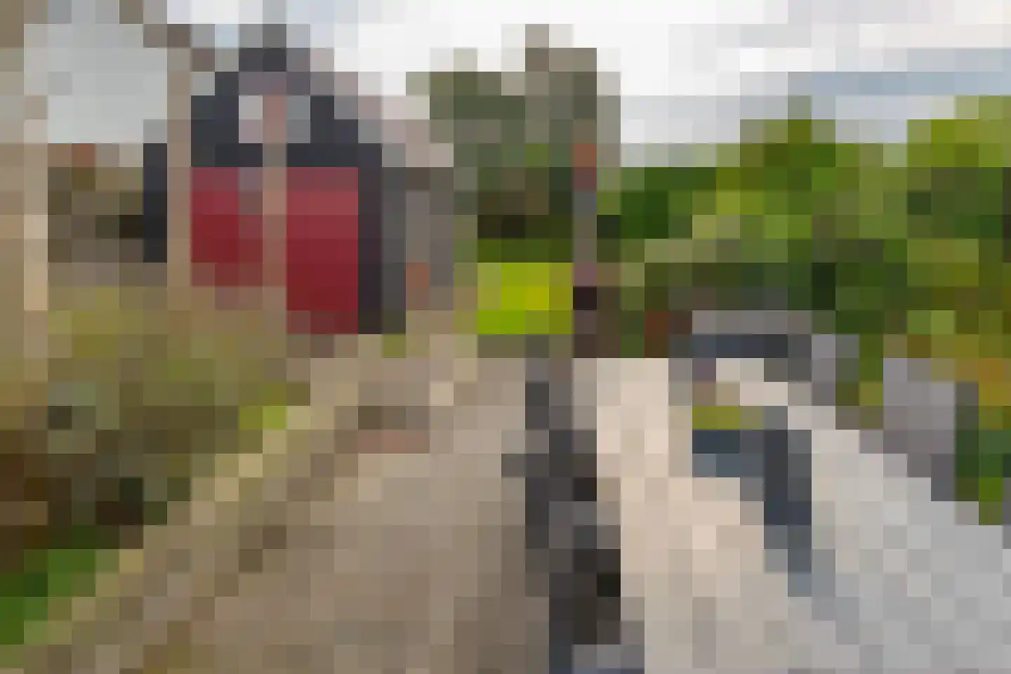 Marktkade 28 Musselkanaal thumbnail 39