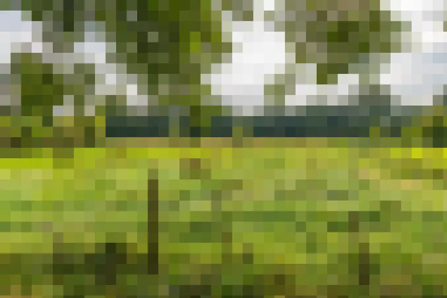 Marktkade 28 Musselkanaal thumbnail 41