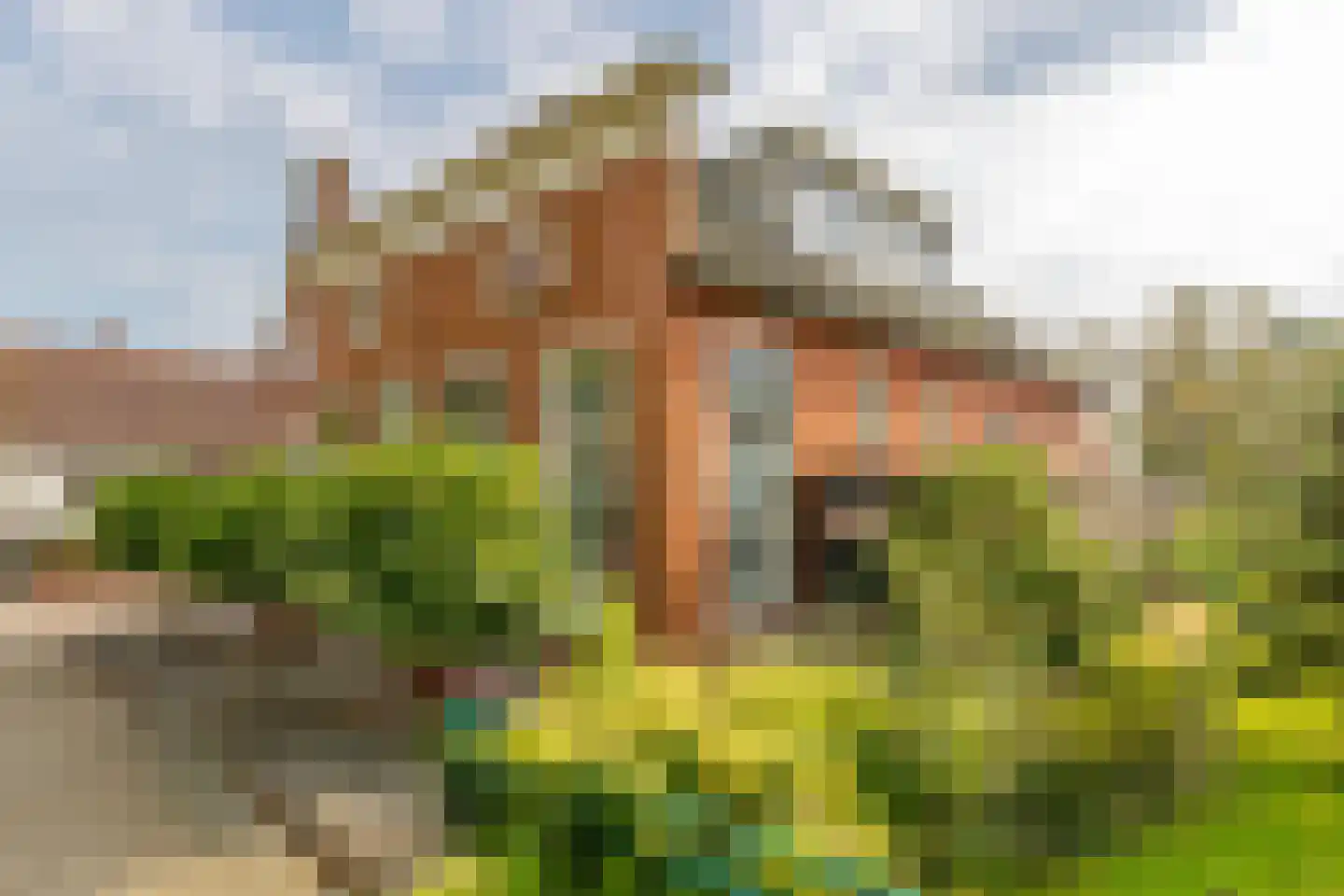 Marktkade 28 Musselkanaal thumbnail 6
