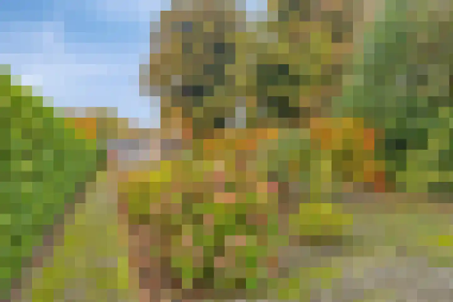 Marktkade 35 Musselkanaal thumbnail 44