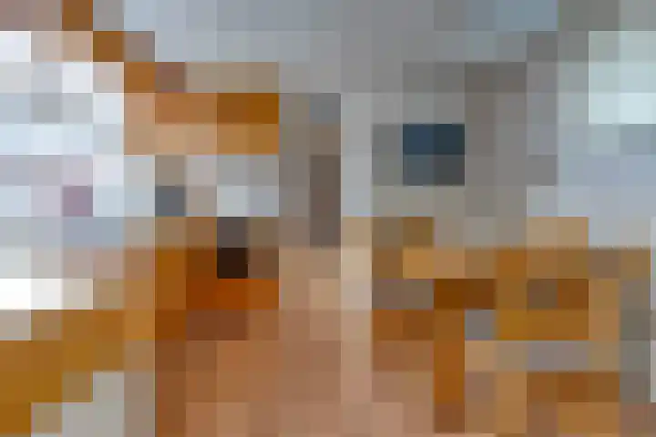 Marktkade 47 Musselkanaal thumbnail 12