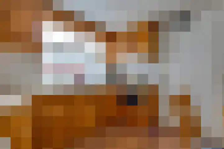 Marktkade 47 Musselkanaal thumbnail 13