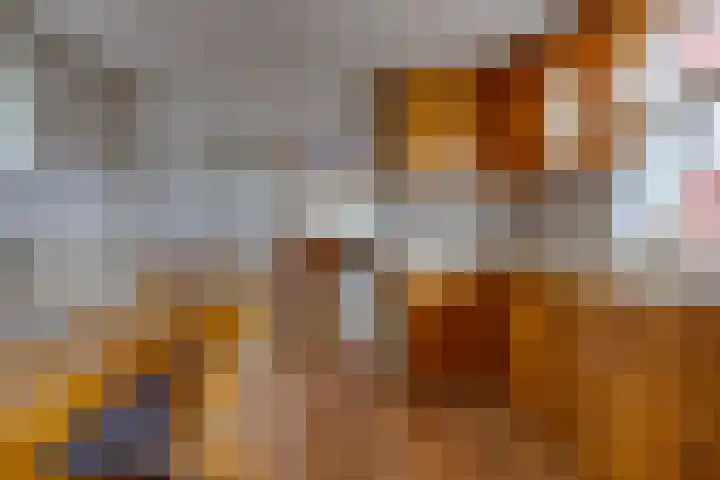 Marktkade 47 Musselkanaal thumbnail 14