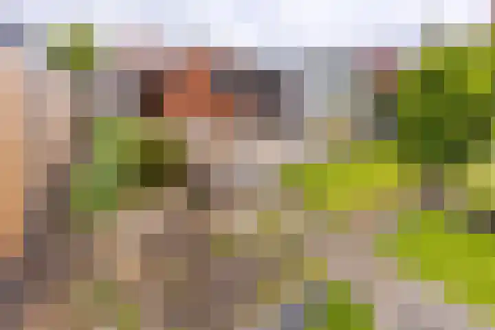 Marktkade 47 Musselkanaal thumbnail 26