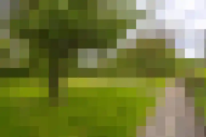 Marktkade 47 Musselkanaal thumbnail 28