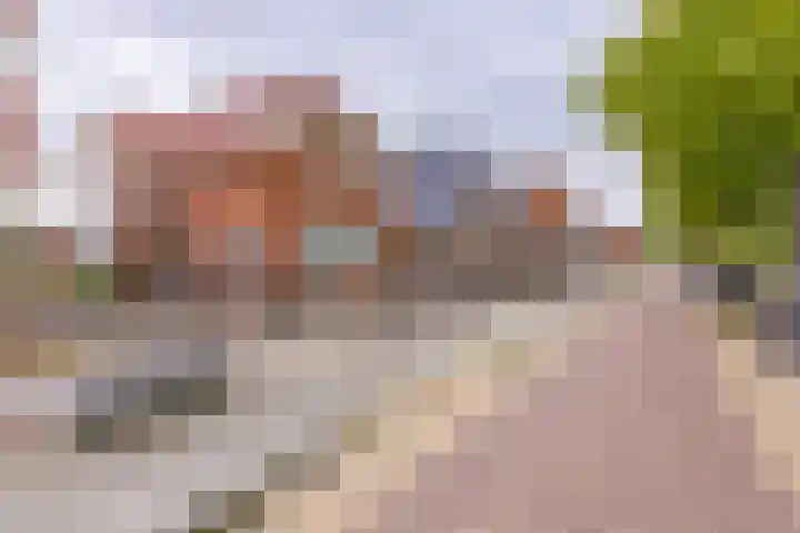 Marktkade 47 Musselkanaal thumbnail 30