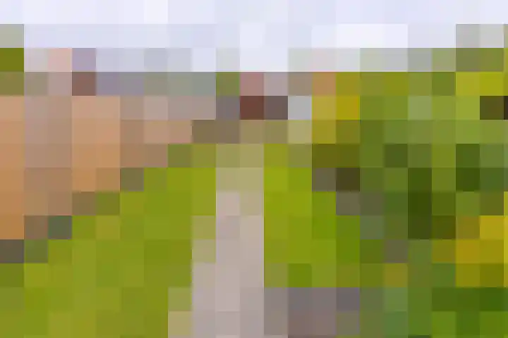Marktkade 47 Musselkanaal thumbnail 4