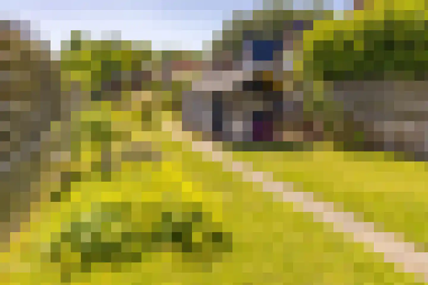 Marktkade 60 Musselkanaal thumbnail 30