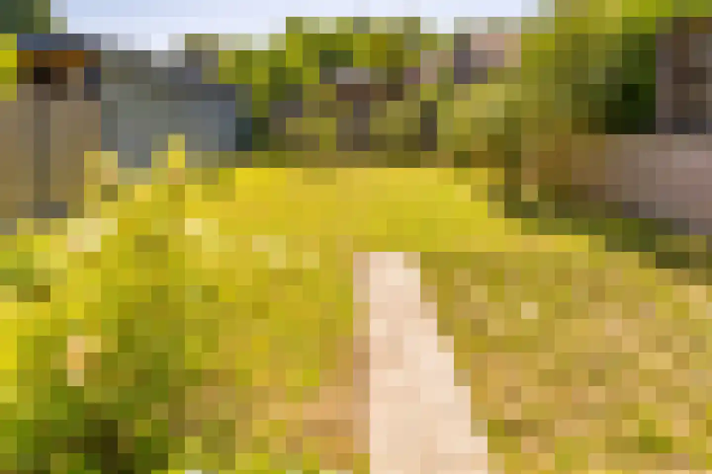 Marktkade 60 Musselkanaal thumbnail 31