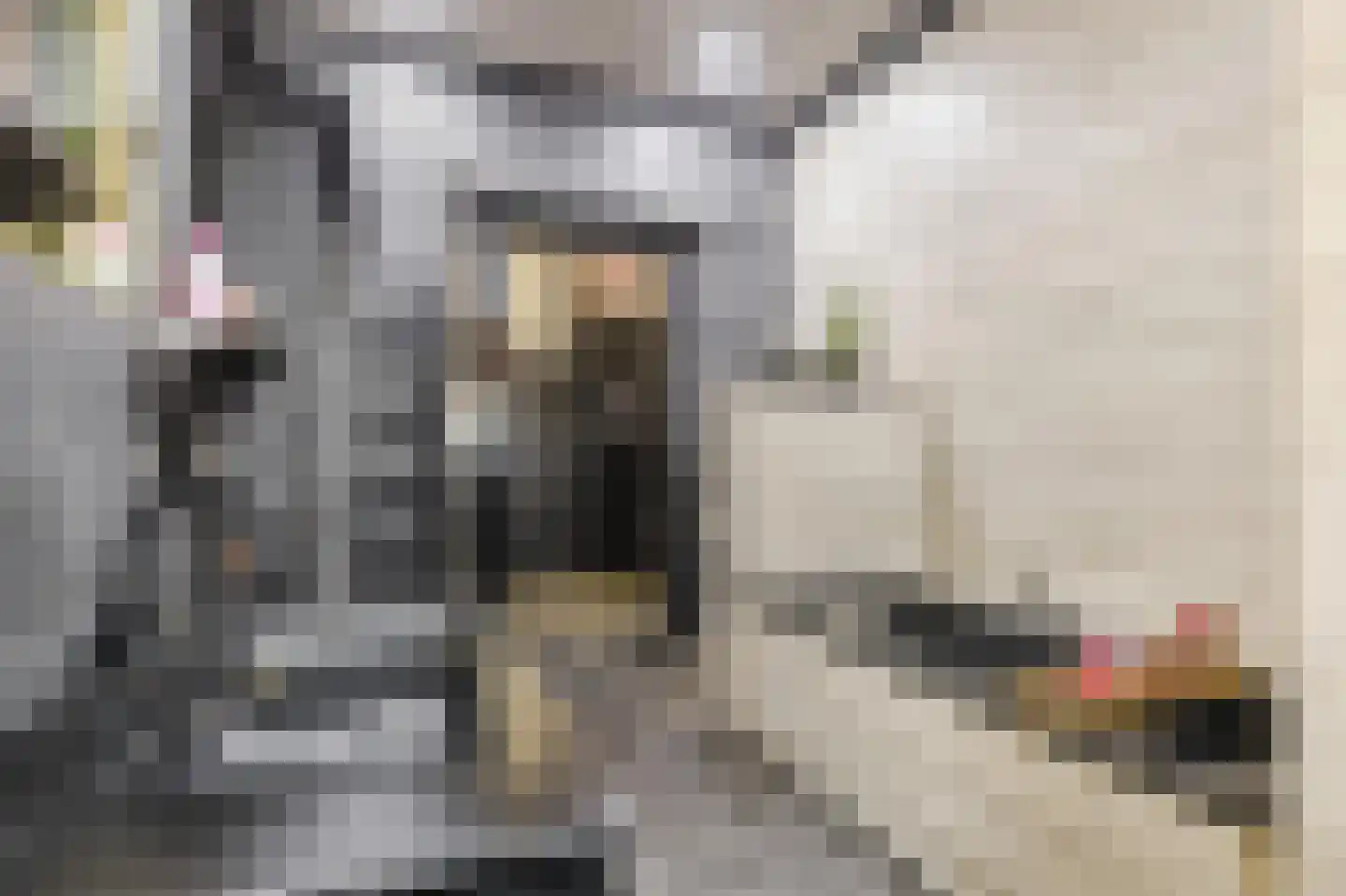 Marktkade 65 Musselkanaal thumbnail 12