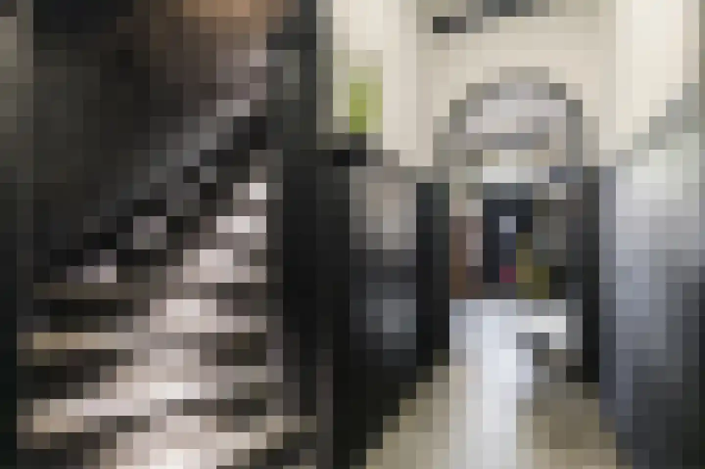 Marktkade 65 Musselkanaal thumbnail 13