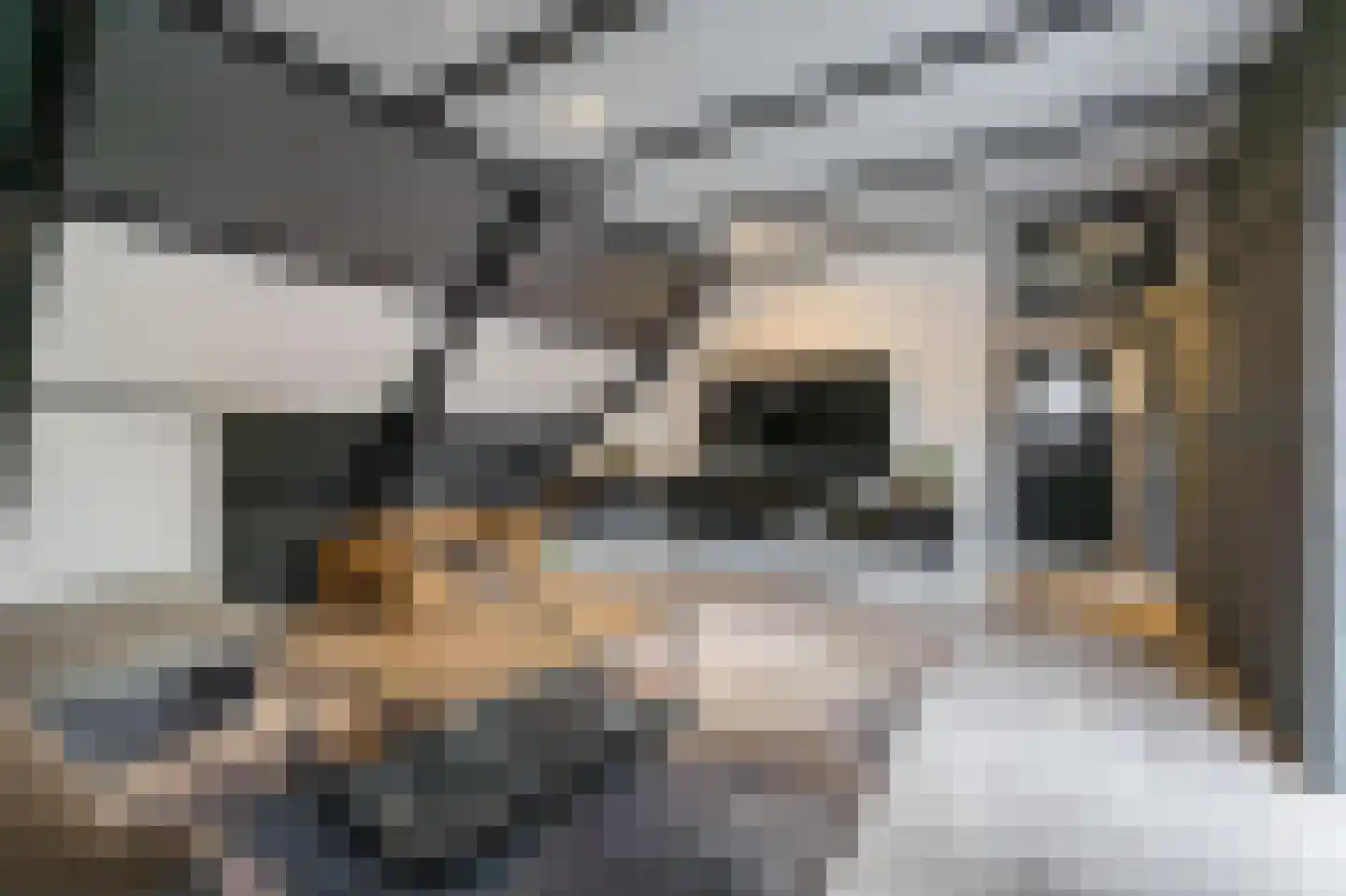 Marktkade 65 Musselkanaal thumbnail 17