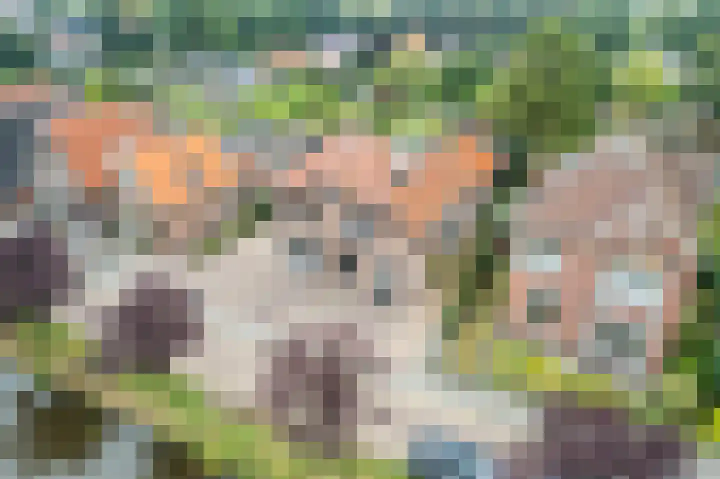 Marktkade 65 Musselkanaal thumbnail 4