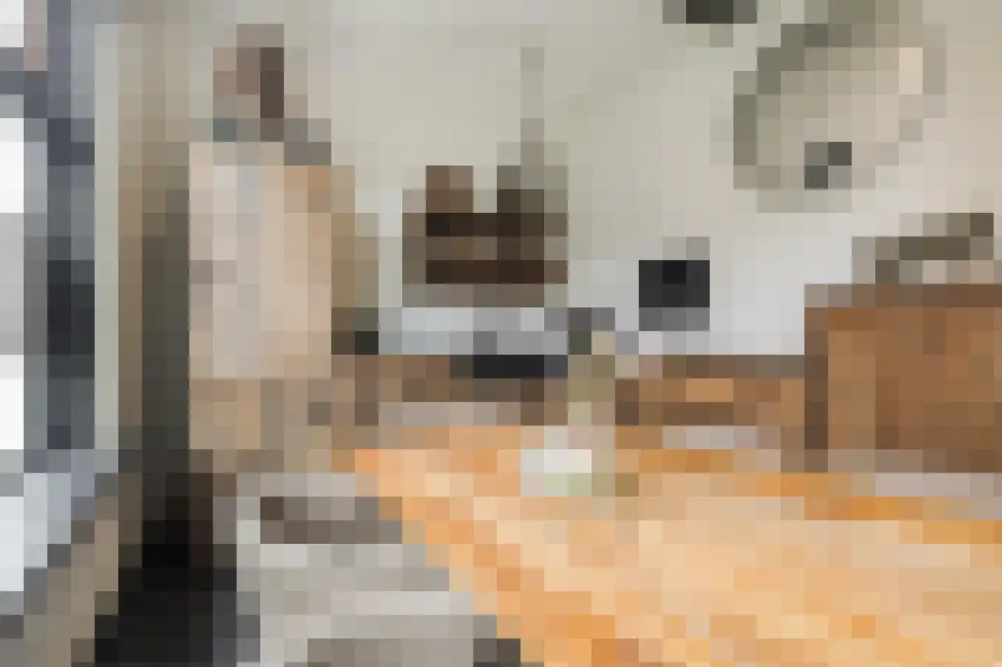 Marktkade 65 Musselkanaal thumbnail 6