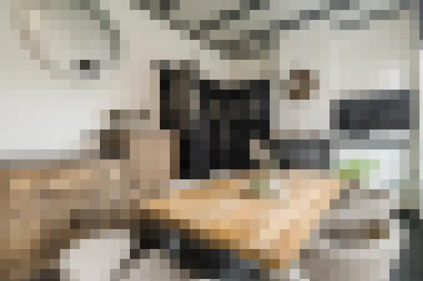 Marktkade 65 Musselkanaal thumbnail 7