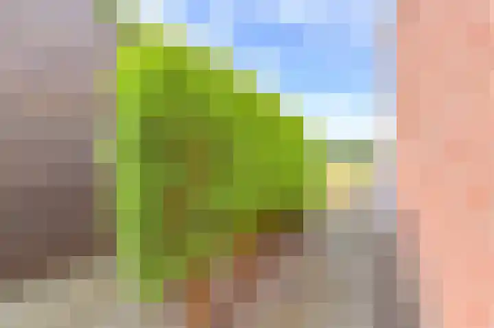 Marktkade 7 A Musselkanaal thumbnail 64