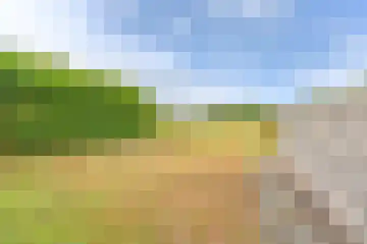 Marktkade 7 A Musselkanaal thumbnail 65