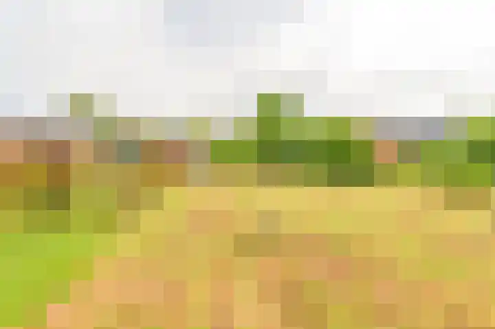 Marktkade 7 A Musselkanaal thumbnail 67