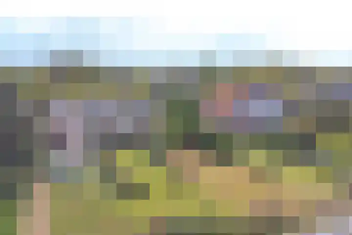 Marktkade 7 A Musselkanaal thumbnail 68