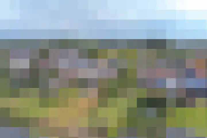 Marktkade 7 A Musselkanaal thumbnail 69