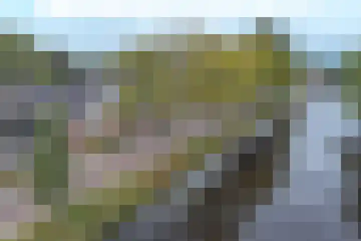 Marktkade 7 A Musselkanaal thumbnail 71