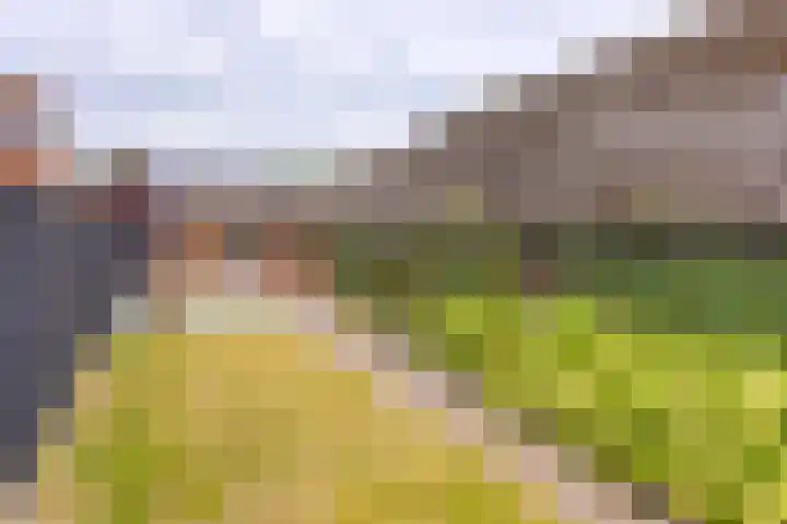 Marktkade 77 Musselkanaal thumbnail 34