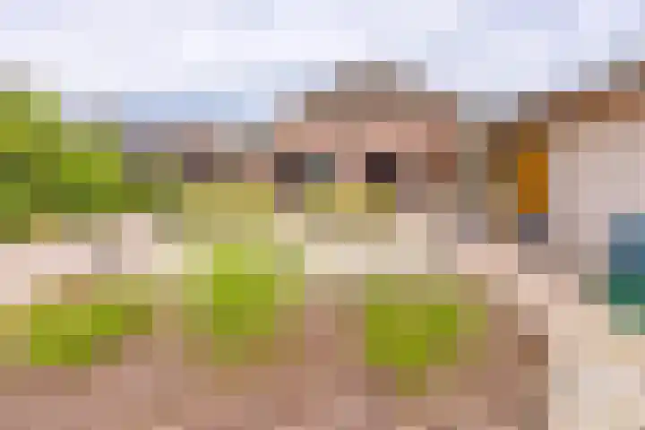 Marktkade 77 Musselkanaal thumbnail 35