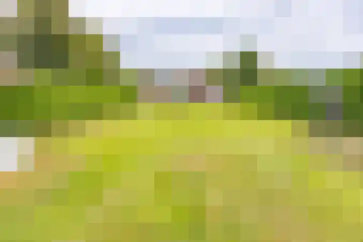 Marktkade 77 Musselkanaal thumbnail 39
