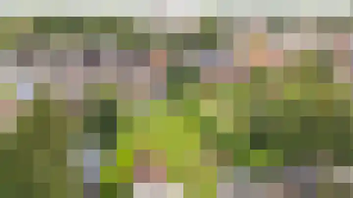 Marktkade 77 Musselkanaal thumbnail 40