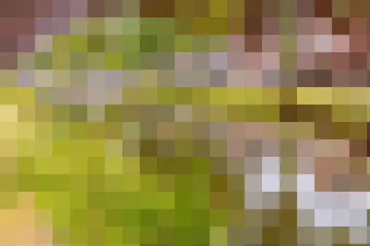 Marktkade 77 Musselkanaal thumbnail 43